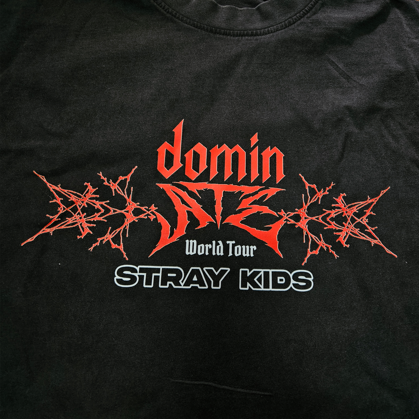 Camiseta Dominate Tour L + Stickers Pack